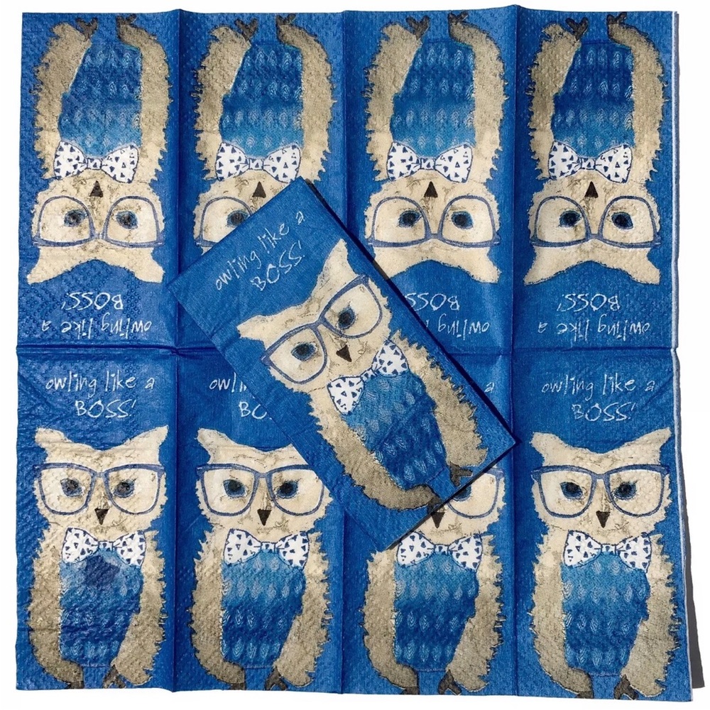 DIY Two (2) Individual Owl Decoupage Small Tissues $FIRM